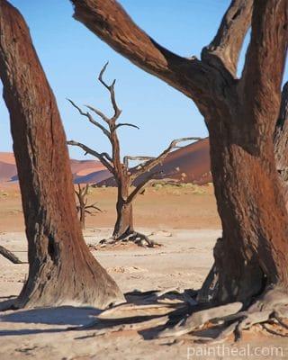Dead Tree Desert Painting By Numbers Kits