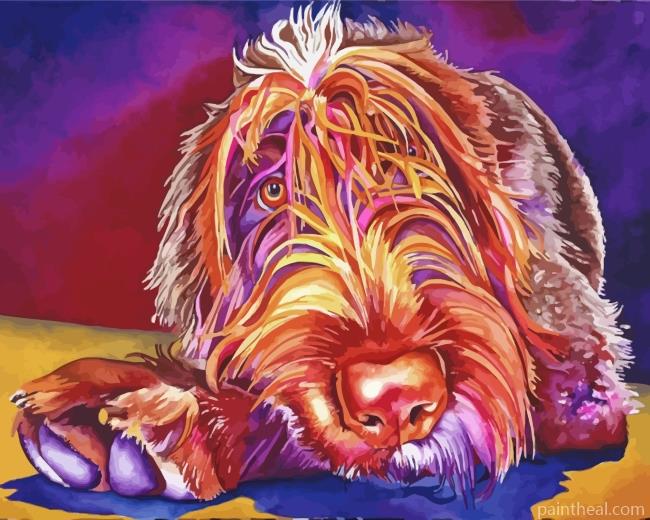Wirehaired Pointing Griffon Painting By Numbers Kits