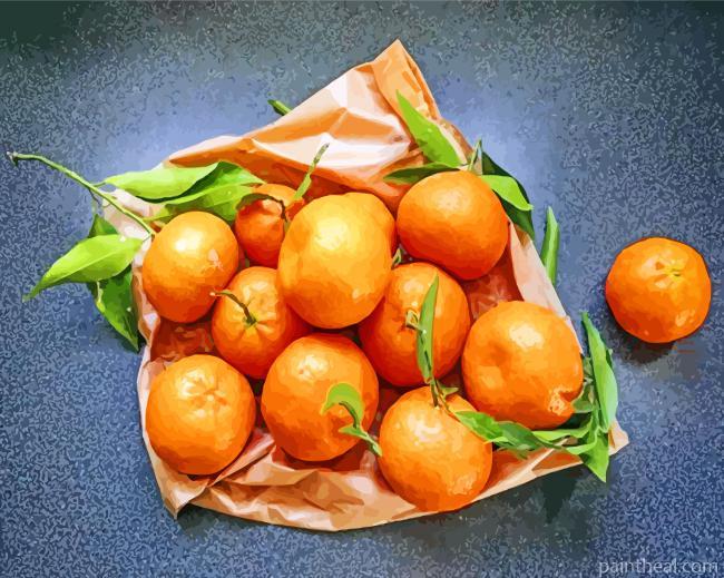 Mandarine Painting By Numbers Kits