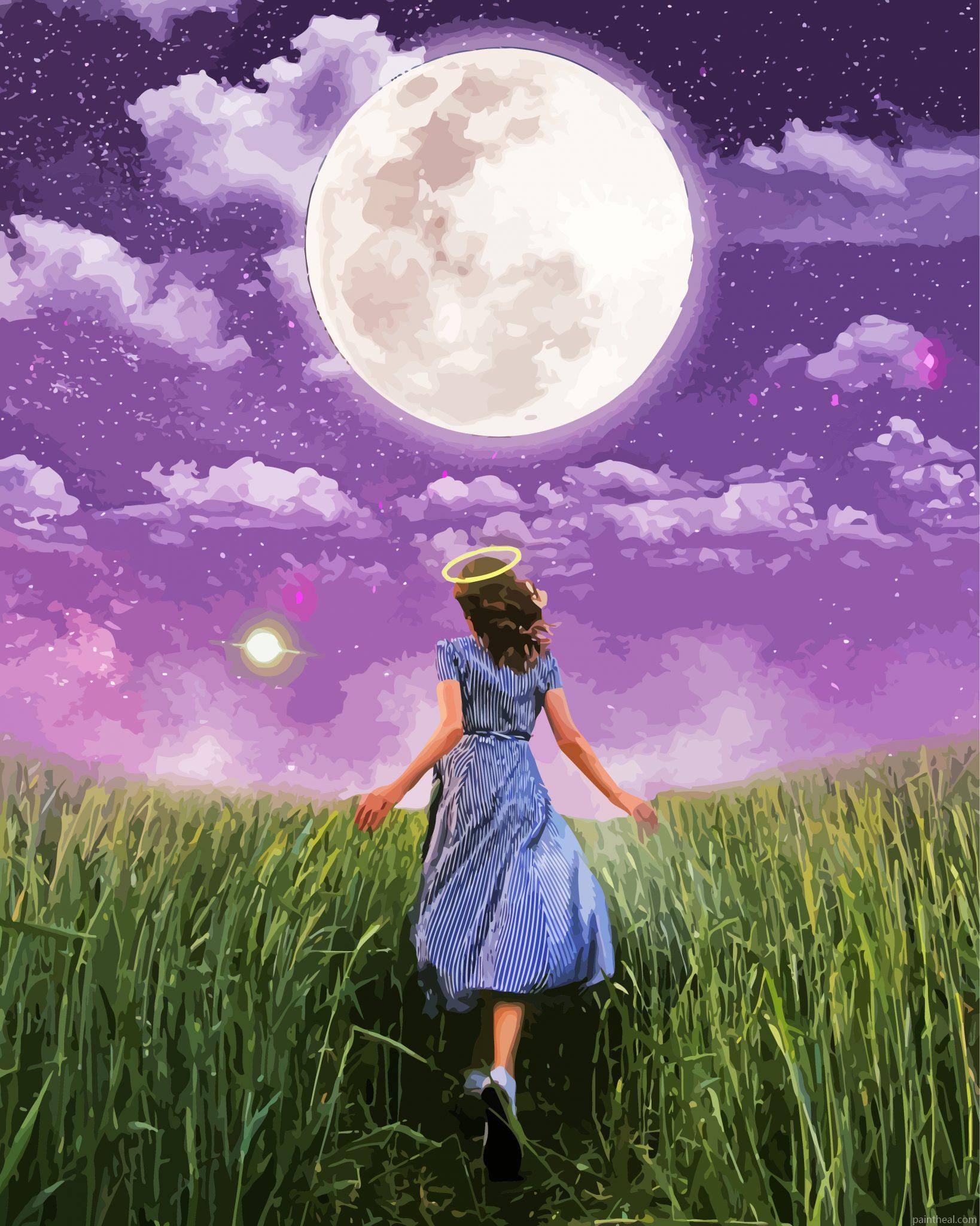 Walking To The Moon Painting By Numbers Kits