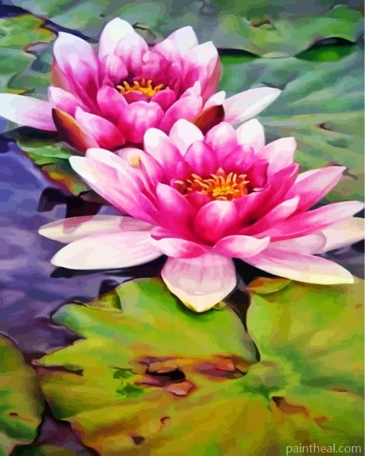 Realistic Water Lilies Painting By Numbers Kits