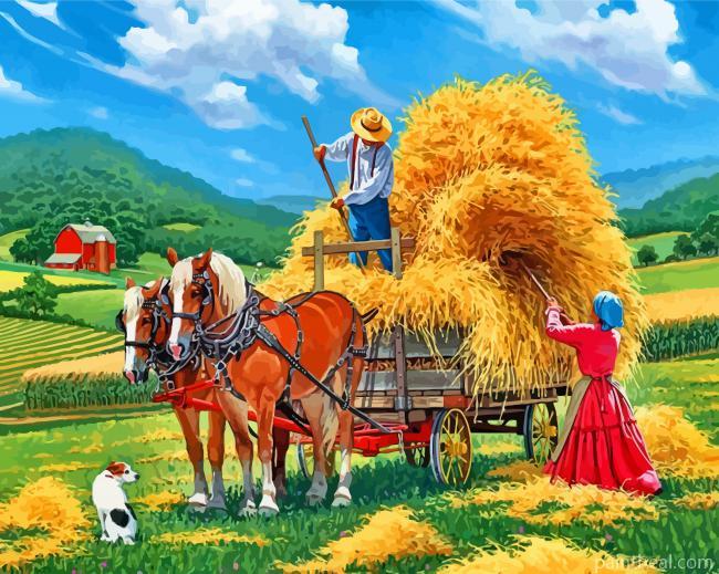 Hay Farm Painting By Numbers Kits