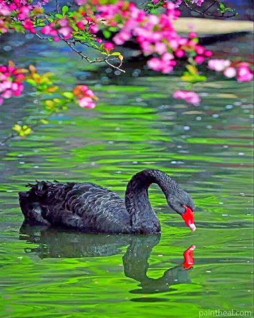 Black Swan Painting By Numbers Kits