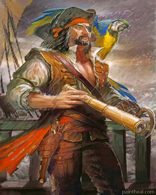 Pirate With Parrot Painting By Numbers Kits