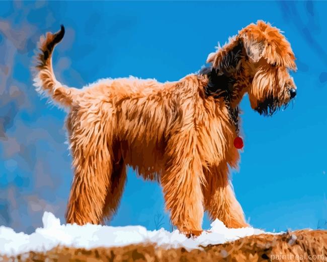 Golden Wheaten Terrier Painting By Numbers Kits