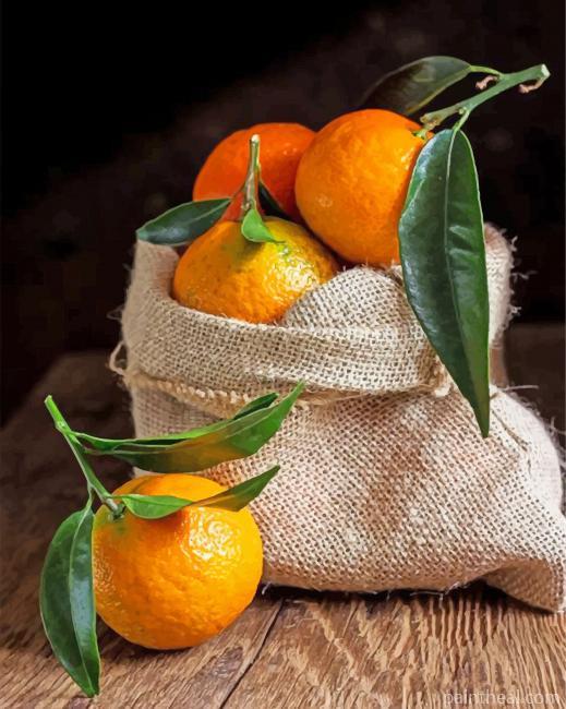 Aesthetic Mandarine Painting By Numbers Kits