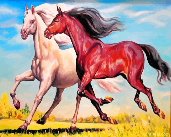Brown And White Horses Painting By Numbers Kits
