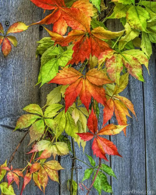 Autumn Leaves NEW Painting By Numbers Kits