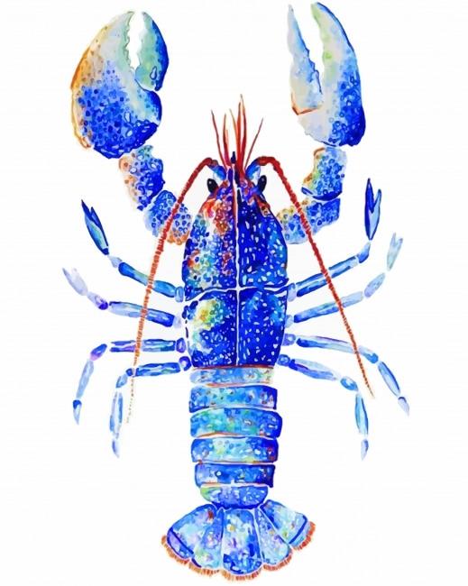Blue Lobster Art NEW Painting By Numbers Kits