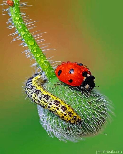 Ladybug Insects Painting By Numbers Kits