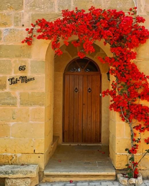 Brown Door With Red Flowers NEW Painting By Numbers Kits