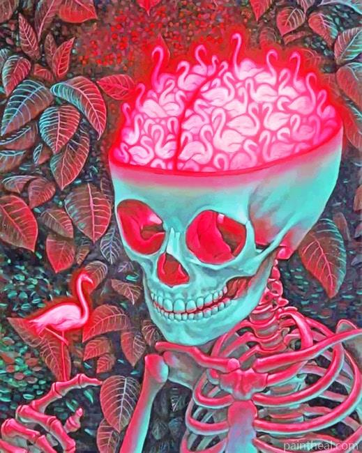Aesthetic Skull Painting By Numbers Kits