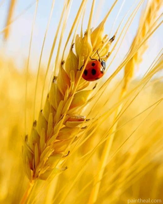 Ladybug On A Grain of Wheat NEW Painting By Numbers Kits