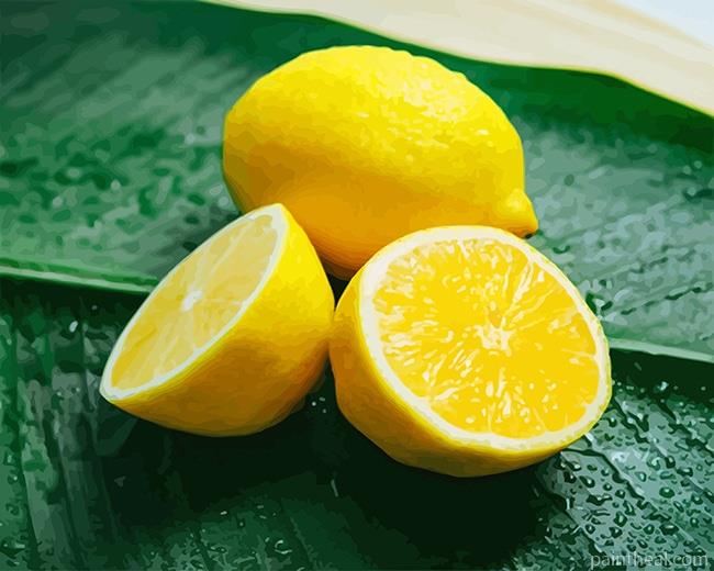 Lemon NEW Painting By Numbers Kits
