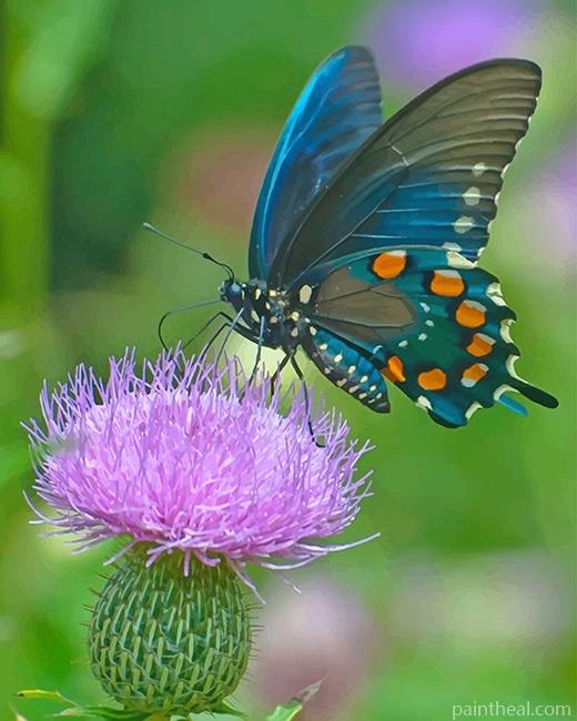 Monarch Butterfly NEW Painting By Numbers Kits