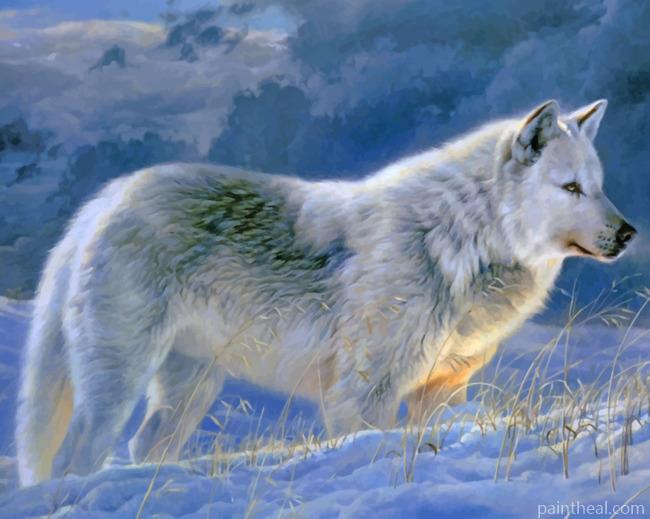 Winter Wolf Painting By Numbers Kits