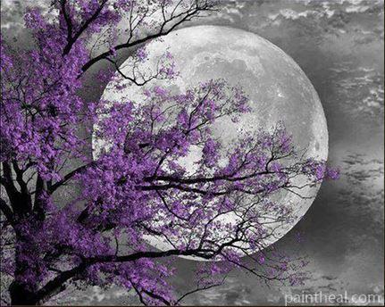 Flower Tree Moon Landscape Painting By Numbers Kits