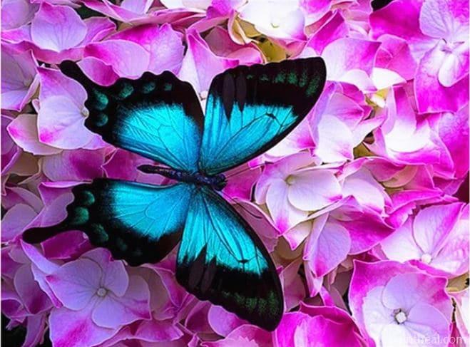 Blue Butterfly On Roses Animals Painting By Numbers Kits