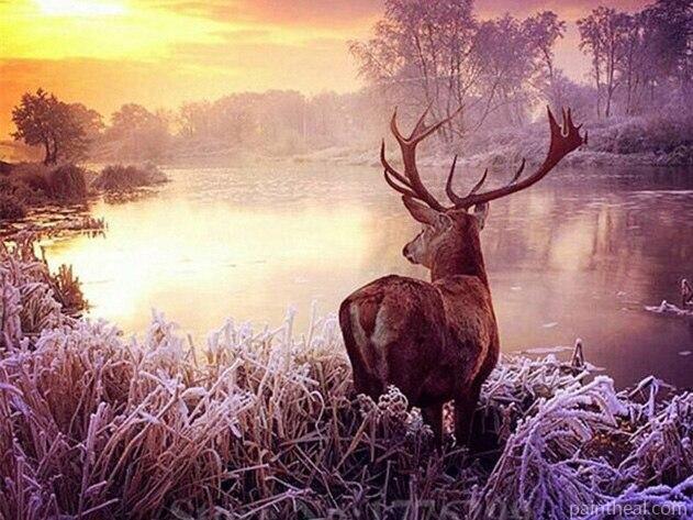 Deer By The River Animals Painting By Numbers Kits