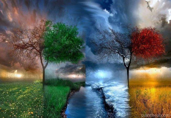 Four Season Tree Thunders Landscape Painting By Numbers Kits