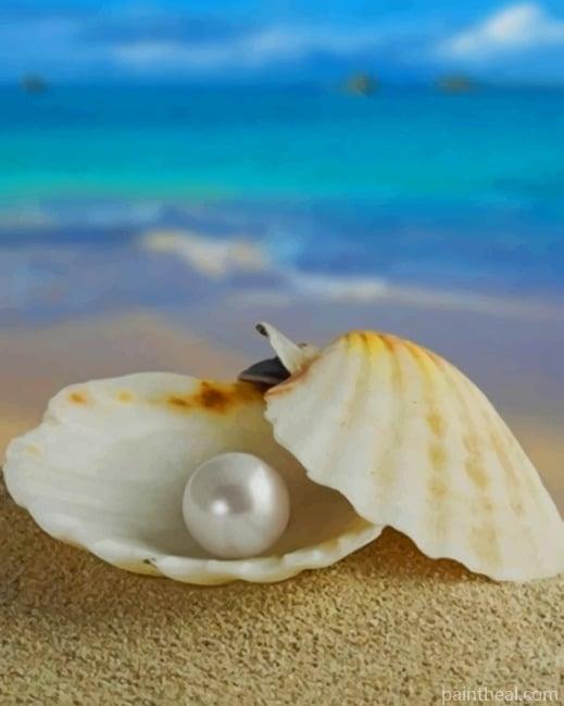 Sea Pearl NEW Painting By Numbers Kits