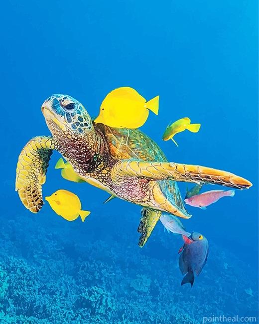 Sea Turtle And Fishes NEW Painting By Numbers Kits