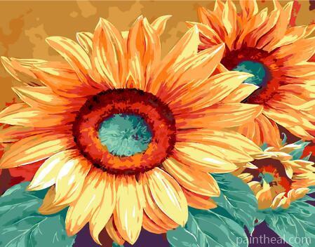 Sunflowers Morning Glory Flowers Painting By Numbers Kits