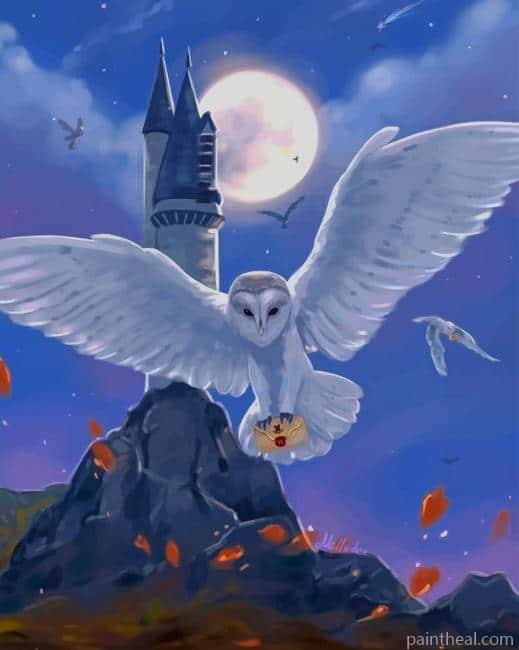 Harry Potter Hedwig NEW Painting By Numbers Kits