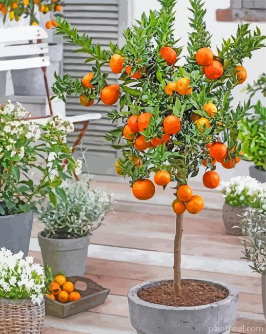 Orange Tree In Pot Painting By Numbers Kits