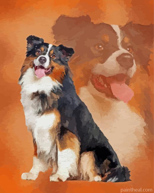 Black Tri Australian Shepherd Art Painting By Numbers Kits