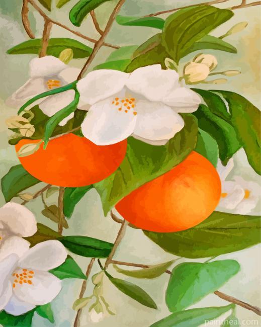 Orange Tree And Blossoms Painting By Numbers Kits