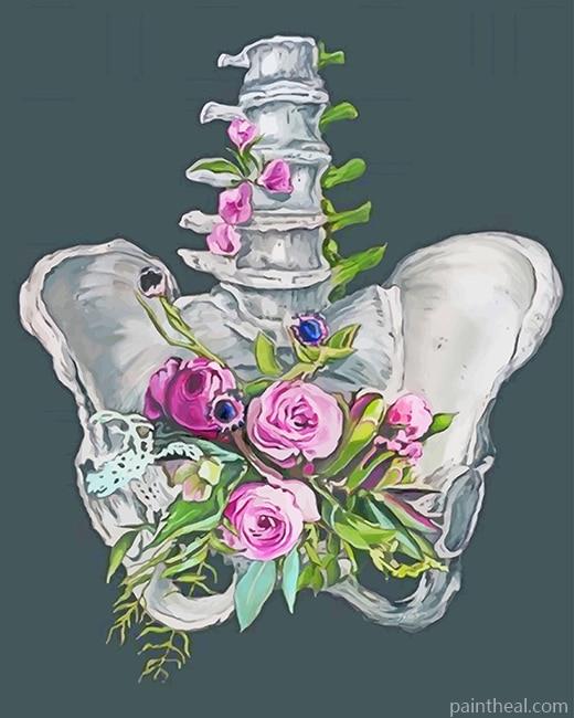 Floral Anatonomy NEW Painting By Numbers Kits