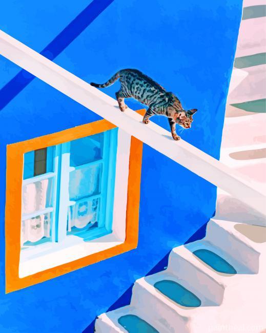 Domestic Short Haired Cat In Thira Painting By Numbers Kits