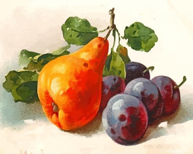 Pears Fruit Painting By Numbers Kits