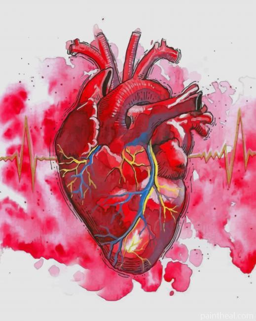 Watercolor Human Heart NEW Painting By Numbers Kits