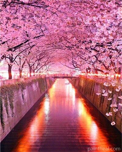 Cherry Blossoms Park Landscape Painting By Numbers Kits