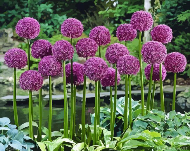 Purple Allium Plants Painting By Numbers Kits