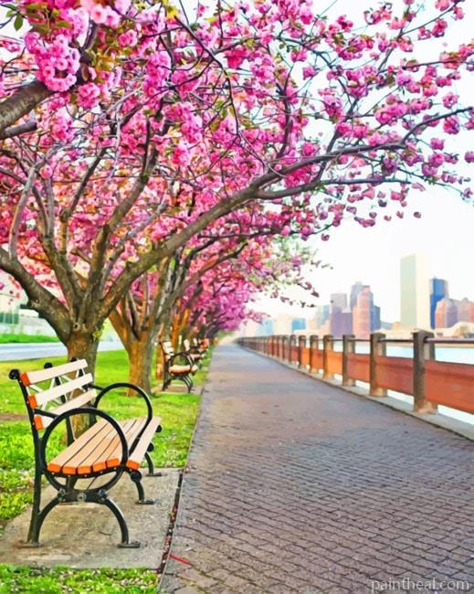 Cherry Blossom NYC Cities Painting By Numbers Kits
