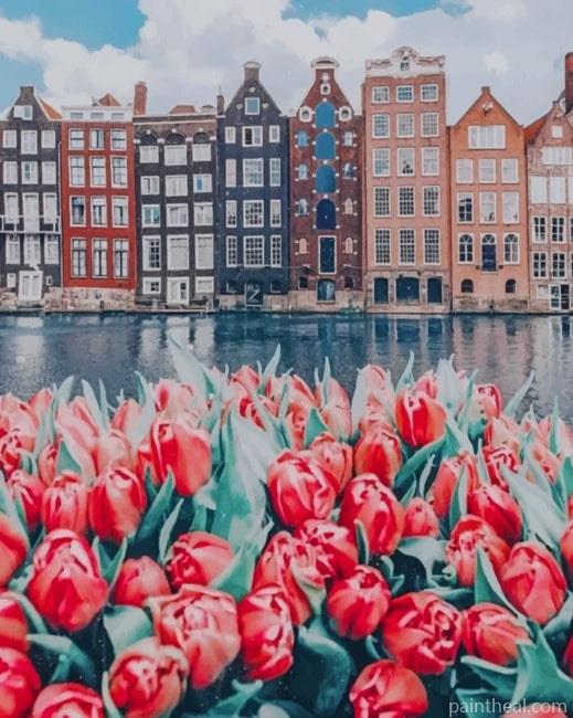 Flowers And Buildings Amsterdam NEW Painting By Numbers Kits