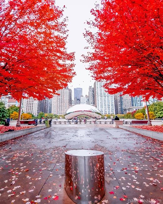 Millennium Park Chicago NEW Painting By Numbers Kits