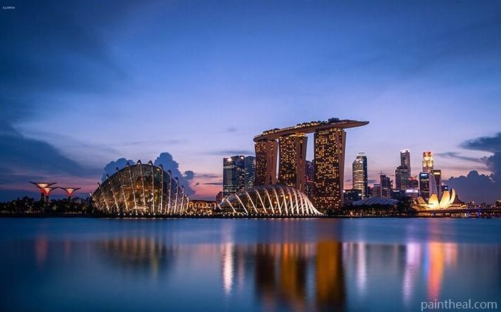 Singapore At Night Cities Painting By Numbers Kits