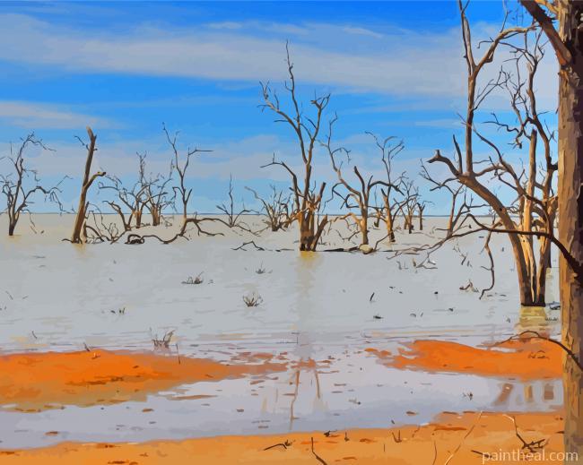 Aesthetic Menindee Painting By Numbers Kits