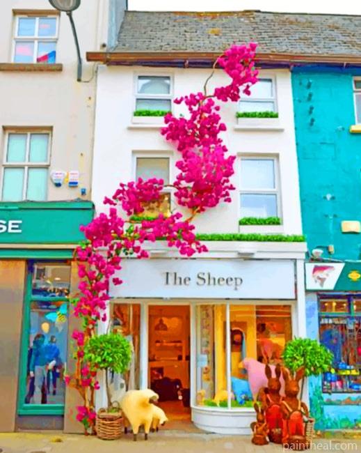 Galway Cities Painting By Numbers Kits