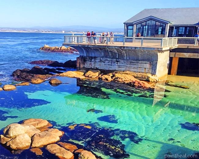 Bay Aquarium Monterey NEW Painting By Numbers Kits