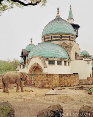 Budapest Zoo Painting By Numbers Kits