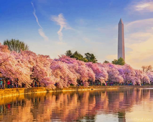 The Cherry Blossoms In DC USA Painting By Numbers Kits