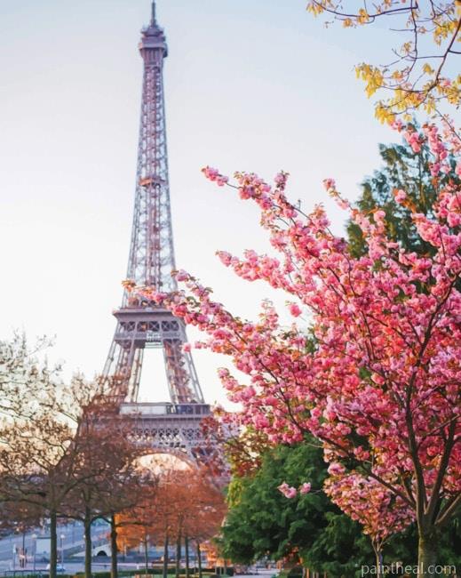 Trocadero Gardens Paris France Painting By Numbers Kits
