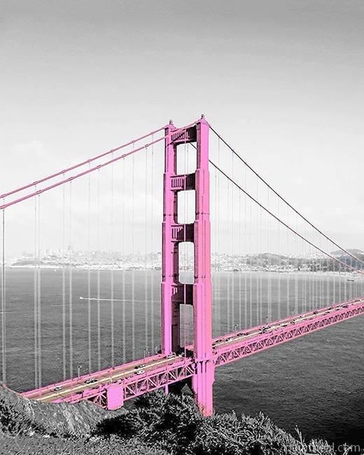 Pink Golden Gate Bridge Painting By Numbers Kits