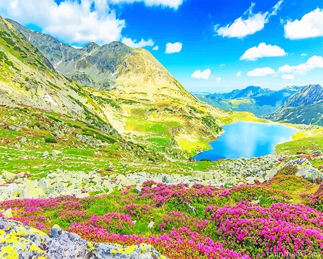 Retezat National Park Romania Painting By Numbers Kits