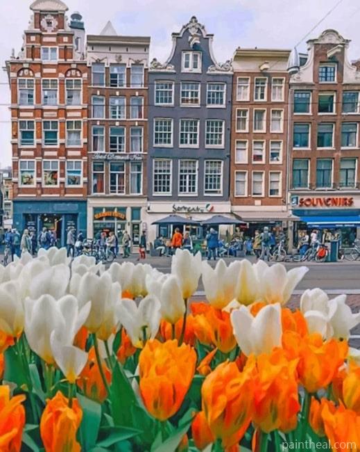 Houses In Amsterdam And Tulips Painting By Numbers Kits